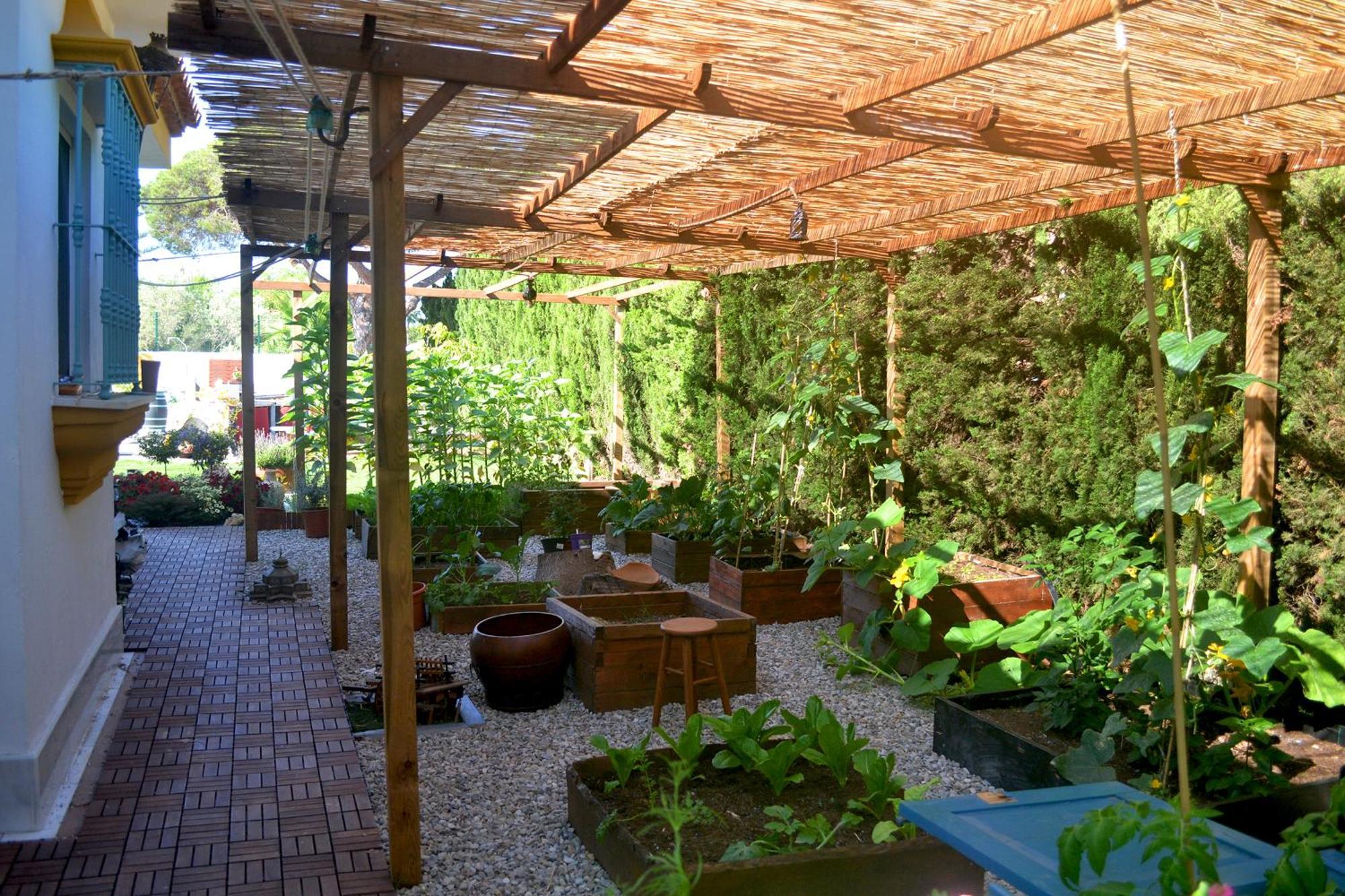 נובו סנקטי פטרי Chalets En Sancti Petri מראה חיצוני תמונה